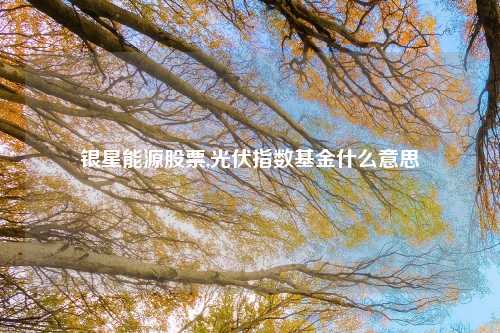 银星能源股票,光伏指数基金什么意思