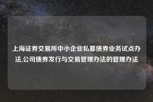 上海证券交易所中小企业私募债券业务试点办法,公司债券发行与交易管理办法的管理办法