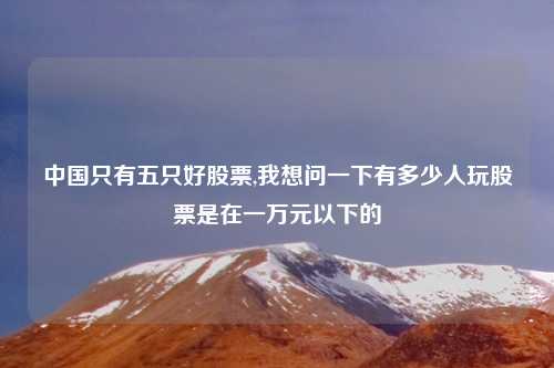 中国只有五只好股票,我想问一下有多少人玩股票是在一万元以下的