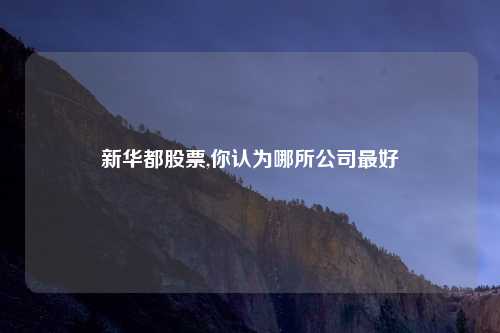 新华都股票,你认为哪所公司最好