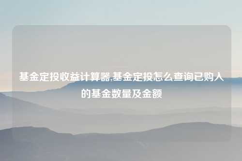 基金定投收益计算器,基金定投怎么查询已购入的基金数量及金额
