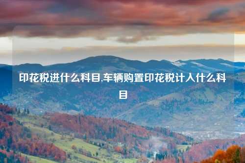 印花税进什么科目,车辆购置印花税计入什么科目