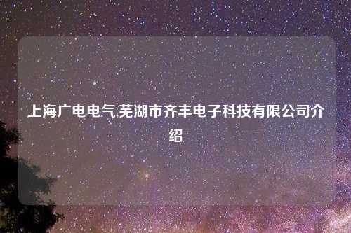 上海广电电气,芜湖市齐丰电子科技有限公司介绍