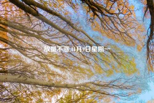 放量不涨,11月9日星期一