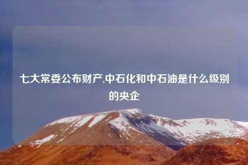 七大常委公布财产,中石化和中石油是什么级别的央企