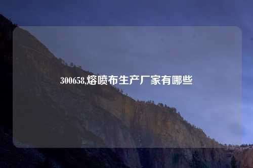 300658,熔喷布生产厂家有哪些