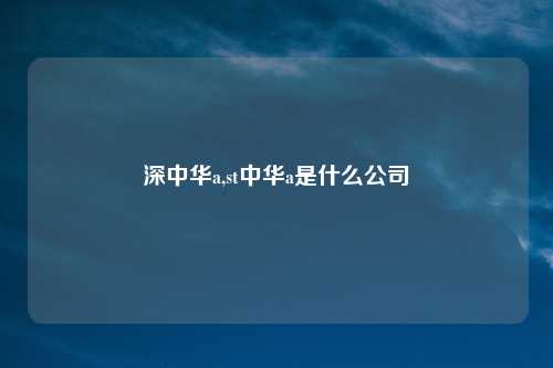 深中华a,st中华a是什么公司