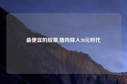 最便宜的股票,猪肉降入20元时代