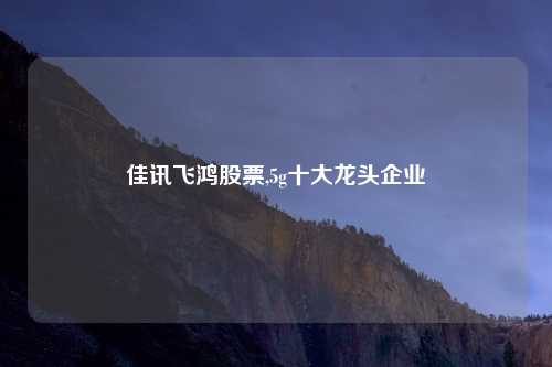 佳讯飞鸿股票,5g十大龙头企业