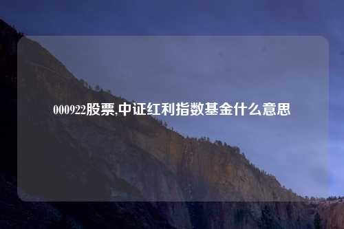 000922股票,中证红利指数基金什么意思