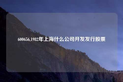 600656,1982年上海什么公司开发发行股票