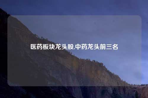 医药板块龙头股,中药龙头前三名