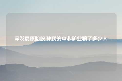 深发展原始股,孙鹏的中非矿业骗了多少人