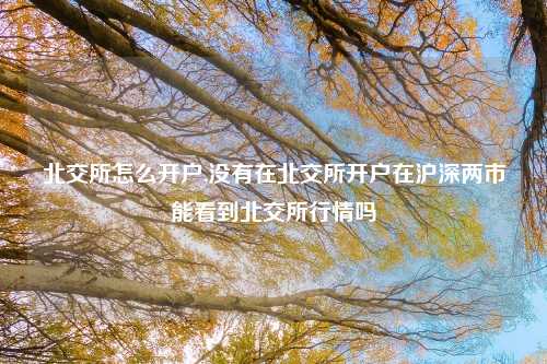 北交所怎么开户,没有在北交所开户在沪深两市能看到北交所行情吗