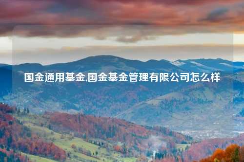 国金通用基金,国金基金管理有限公司怎么样