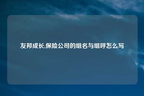 友邦成长,保险公司的组名与组呼怎么写