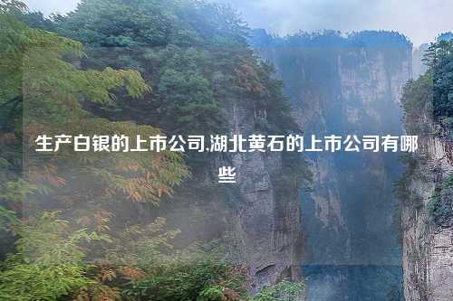 生产白银的上市公司,湖北黄石的上市公司有哪些