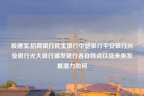 股通宝,招商银行民生银行中信银行平安银行兴业银行光大银行浦发银行各自特点以及未来发展潜力如何