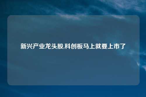 新兴产业龙头股,科创板马上就要上市了