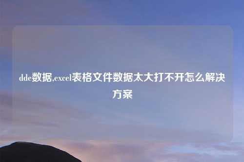 dde数据,excel表格文件数据太大打不开怎么解决方案