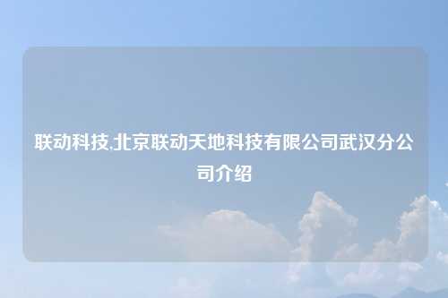 联动科技,北京联动天地科技有限公司武汉分公司介绍