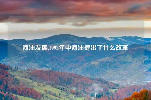 海油发展,1993年中海油提出了什么改革