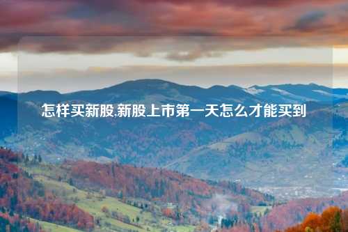 怎样买新股,新股上市第一天怎么才能买到