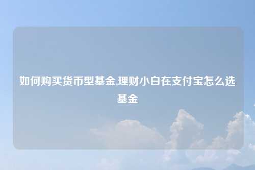 如何购买货币型基金,理财小白在支付宝怎么选基金
