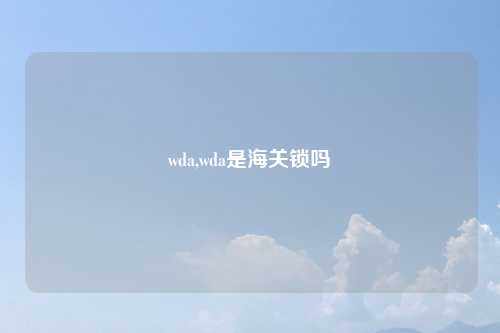 wda,wda是海关锁吗