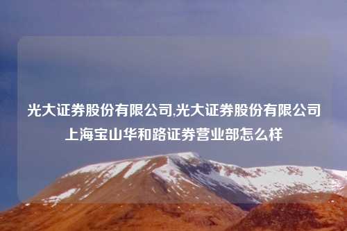 光大证券股份有限公司,光大证券股份有限公司上海宝山华和路证券营业部怎么样