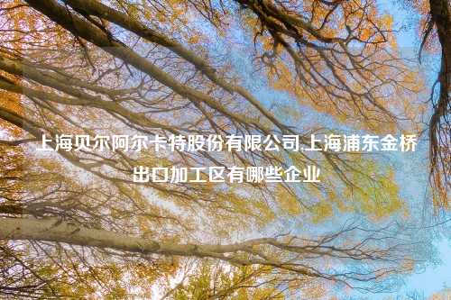 上海贝尔阿尔卡特股份有限公司,上海浦东金桥出口加工区有哪些企业