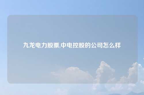 九龙电力股票,中电控股的公司怎么样