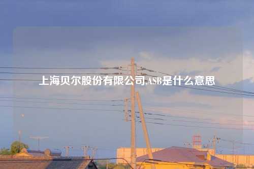 上海贝尔股份有限公司,ASB是什么意思