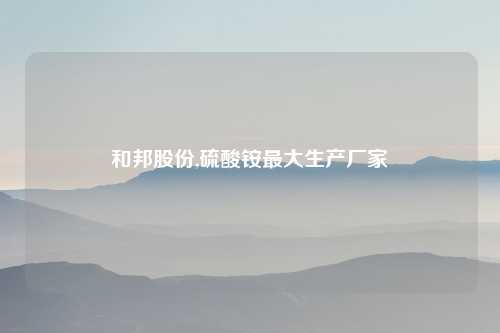 和邦股份,硫酸铵最大生产厂家