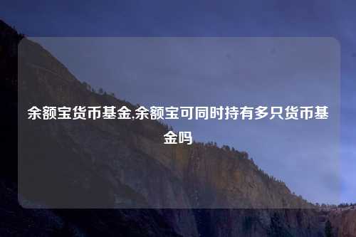 余额宝货币基金,余额宝可同时持有多只货币基金吗