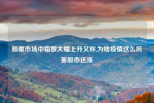 股票市场中指数大幅上升又称,为啥疫情这么厉害股市还涨