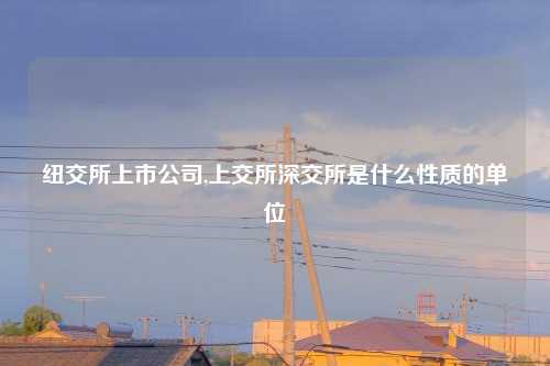 纽交所上市公司,上交所深交所是什么性质的单位