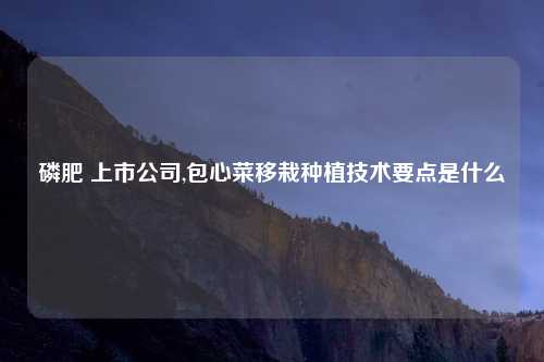 磷肥 上市公司,包心菜移栽种植技术要点是什么