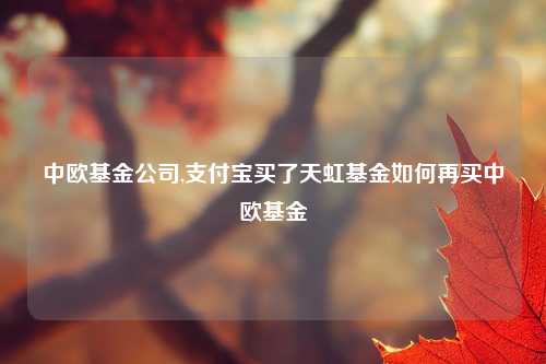 中欧基金公司,支付宝买了天虹基金如何再买中欧基金