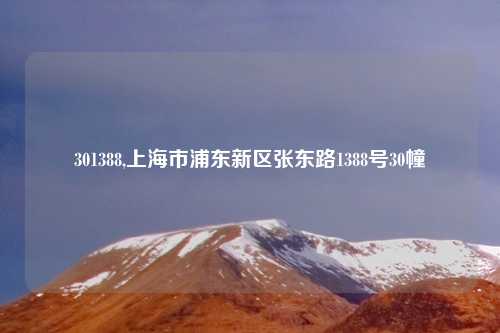 301388,上海市浦东新区张东路1388号30幢