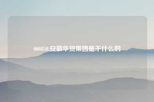 000850,安徽华贸集团是干什么的