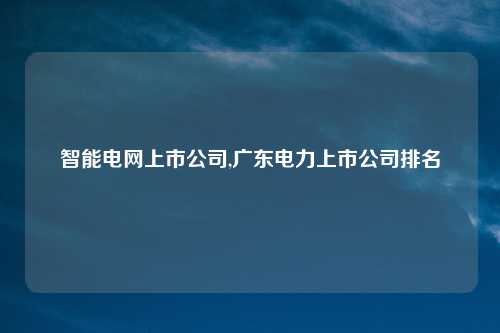 智能电网上市公司,广东电力上市公司排名