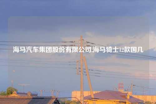 海马汽车集团股份有限公司,海马骑士12款国几