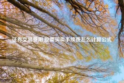 证券交易费用,股票买卖手续费怎么计算公式