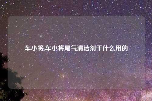 车小将,车小将尾气清洁剂干什么用的