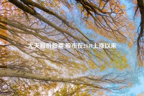 尤夫股份股票,股市在2449上涨以来