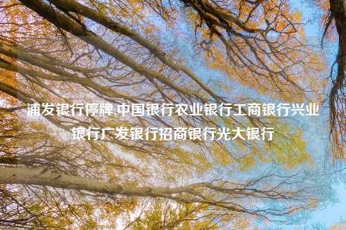 浦发银行停牌,中国银行农业银行工商银行兴业银行广发银行招商银行光大银行