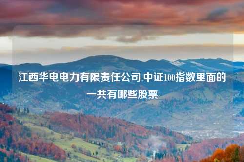 江西华电电力有限责任公司,中证100指数里面的一共有哪些股票