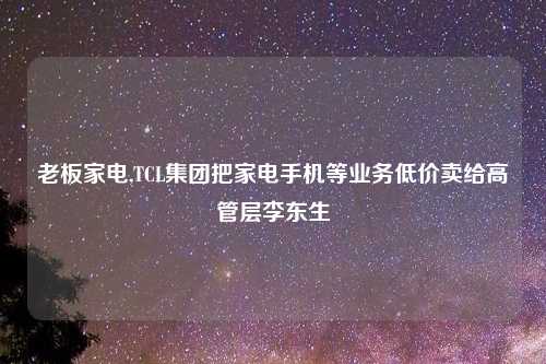 老板家电,TCL集团把家电手机等业务低价卖给高管层李东生