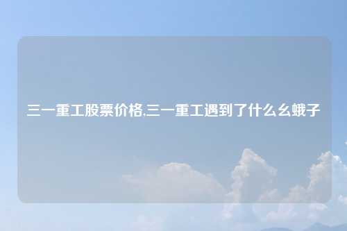 三一重工股票价格,三一重工遇到了什么幺蛾子